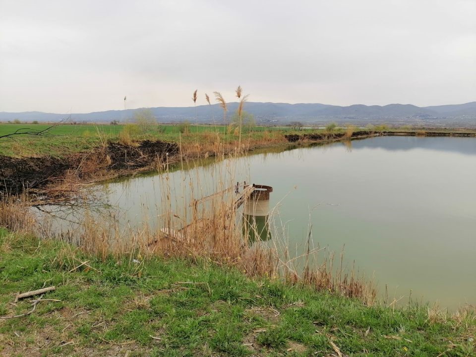 Bassin d'aquaculture en Géorgie