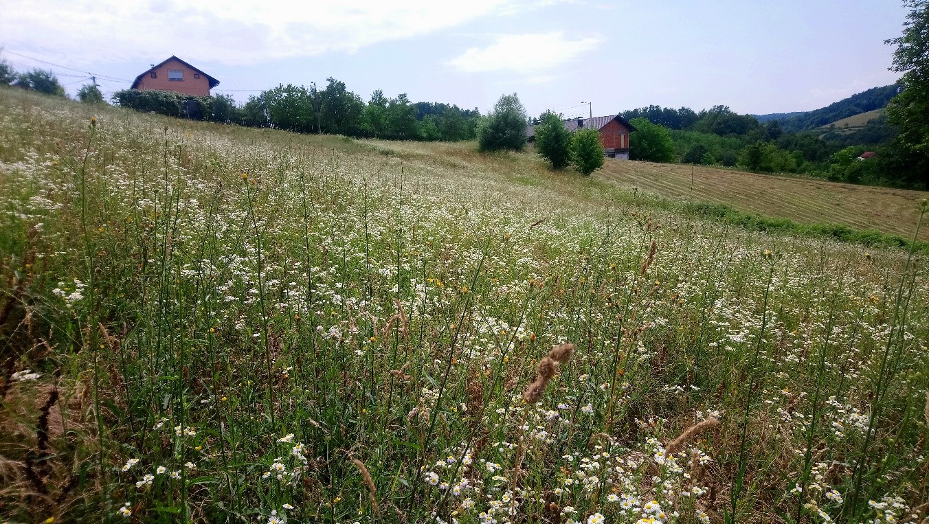 Projet PACAD en Bosnie-Herzégovine 