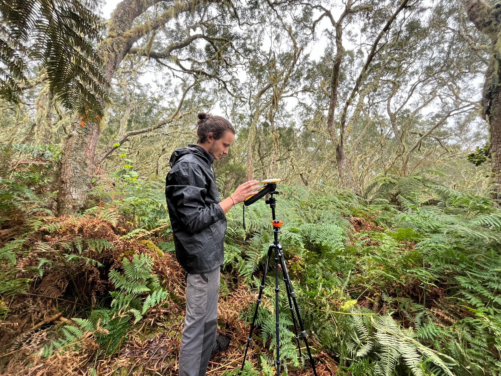 Relevé des caractéristiques des essences locales