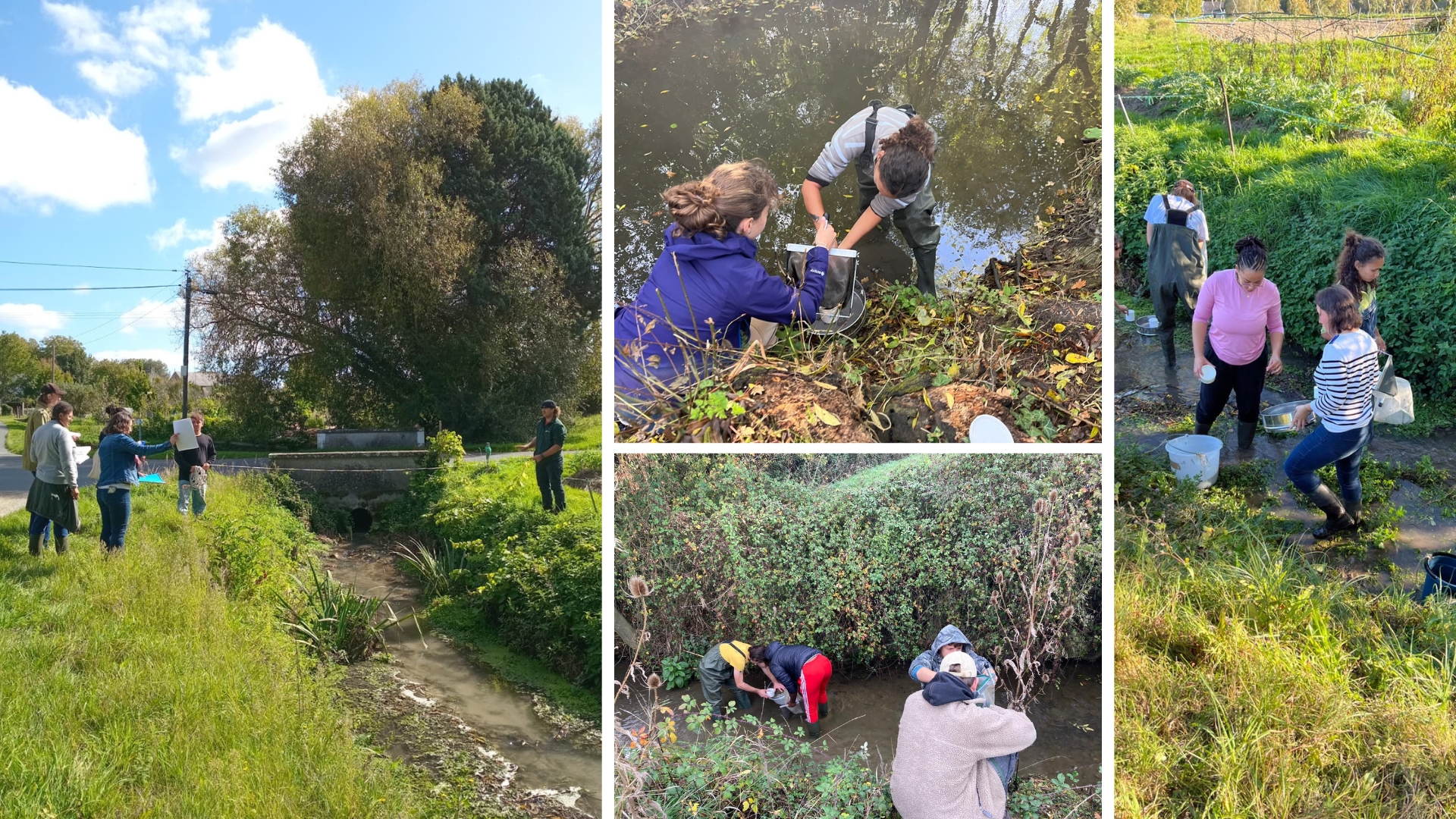 Terrain eau pollution