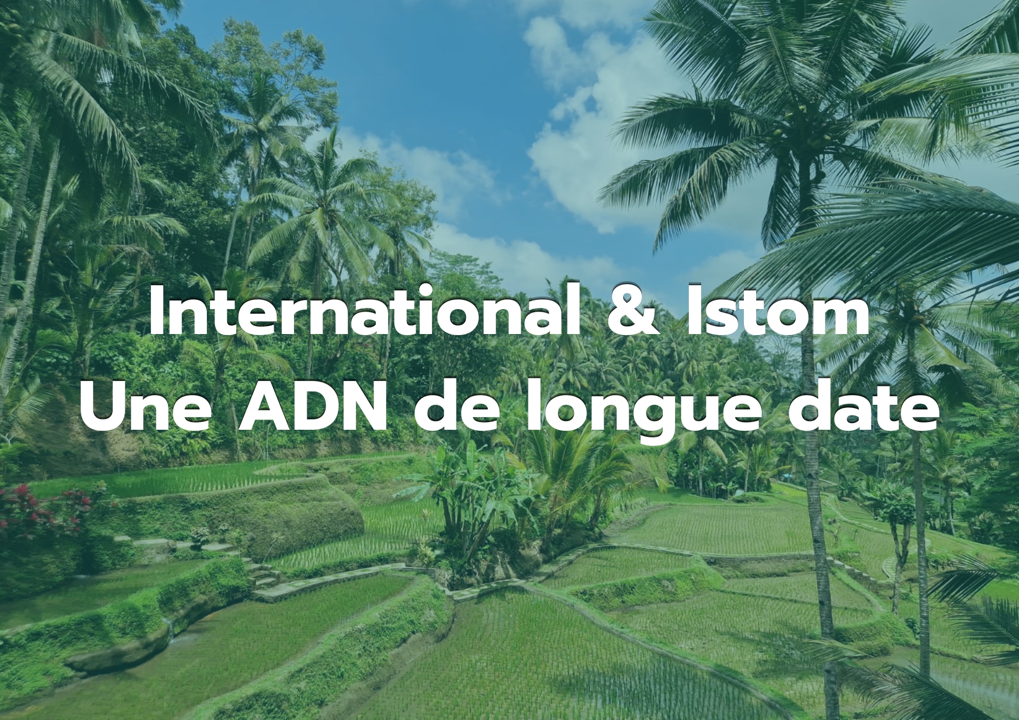 ISTOM et les Suds : une internationalisation de longue date