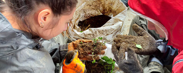 Etudiante en train de prélever la macrofaune du sol sur des parcelles en agriculture biologique, en polycultures ainsi que sur une parcelle maraichère sur un sol vivant pour évaluer sa richesse et sa santé, en lien avec les pratiques agricoles.