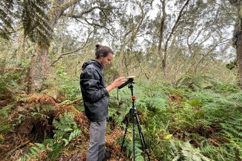 Relevé des caractéristiques des essences locales